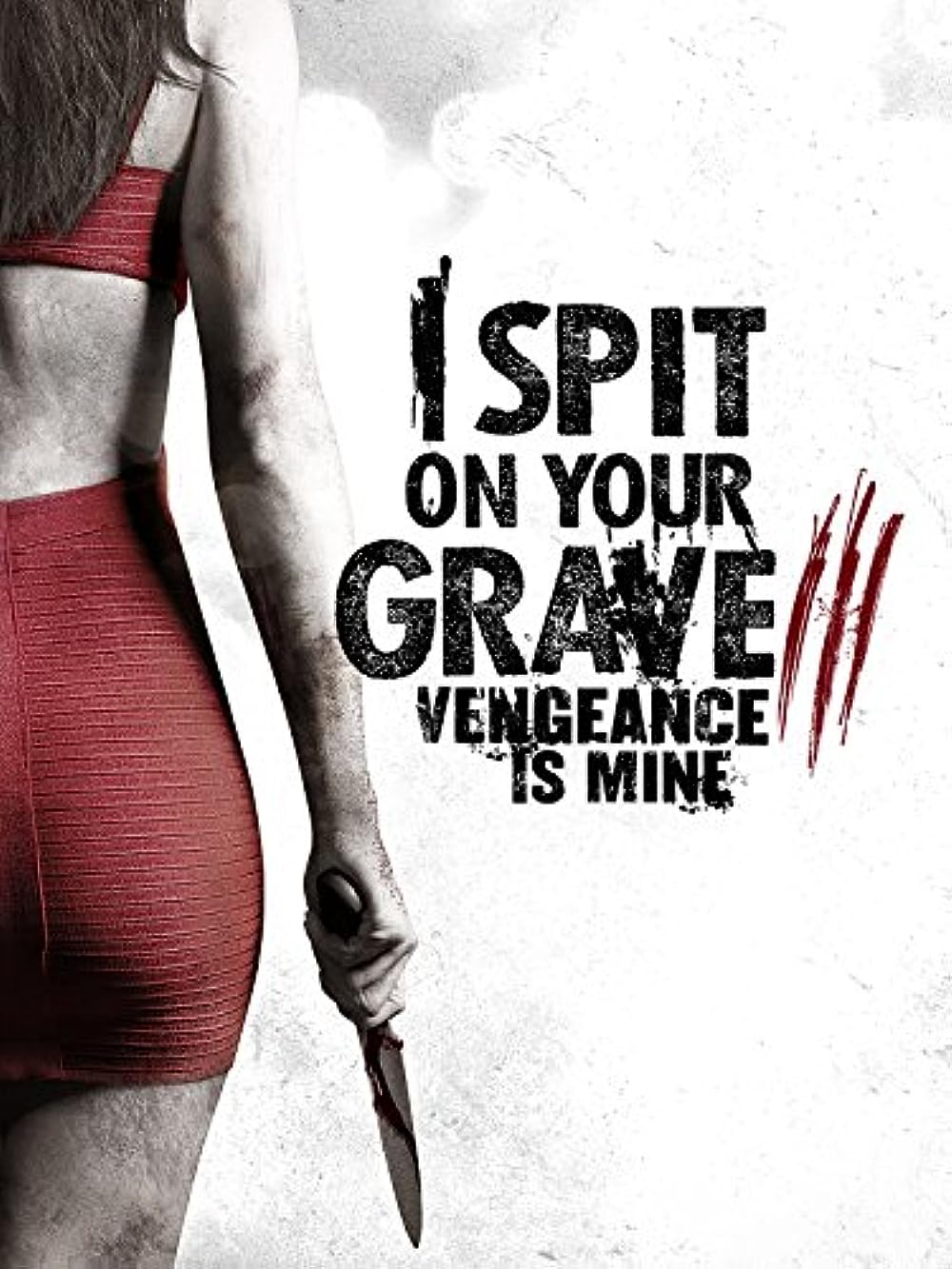 I Spit on Your Grave III Vengeance is Mine 2015 Hindi ORG Dual Audio 480p BluRay ESub 300MB Download
